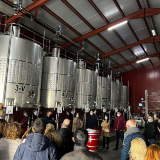 Visita a Bodega Vega Tolosa y Cata Comentada de Vinos  (Casas Ibáñez, Albacete)