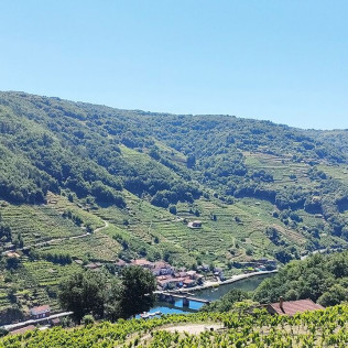 Visita a Bodega Via Romana y Viñedos con Cata de 3 Vinos para dos (Lugo)