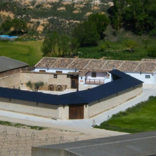 Visita a Bodegas Arbás, Viñedos y Cata de 2 Vinos con Quesos y Embutidos para dos (Valladolid)