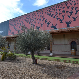 Visita a Bodegas La Soterraña con Cata de Vinos y Aperitivo para dos (Olmedo, Valladolid)
