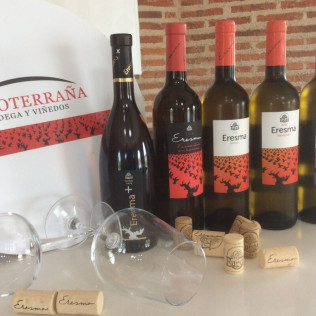 Visita a Bodegas La Soterraña con Cata de Vinos y Aperitivo para dos (Olmedo, Valladolid)