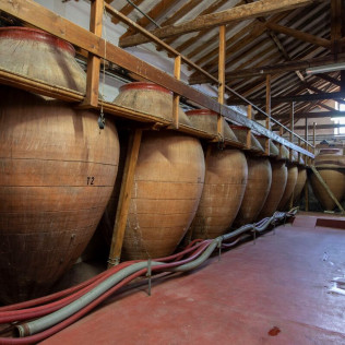 Visita a Bodegas Jesús Díaz e Hijos con Cata de 3 Vinos para dos (Colmenar de Oreja, Madrid)