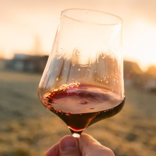 Visita a Bodegas Jesús Díaz e Hijos con Cata de 3 Vinos para dos (Colmenar de Oreja, Madrid)
