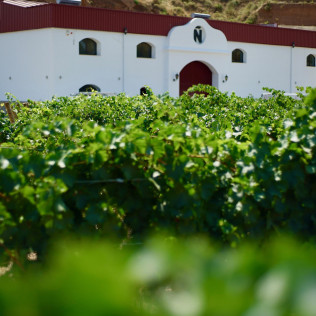 Visita a las Bodegas Muñana y Degustación de vino para dos (Granada)