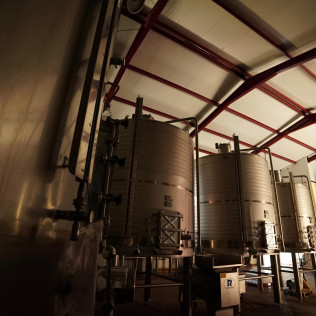 Visita a las Bodegas Muñana y Degustación de vino para dos (Granada)