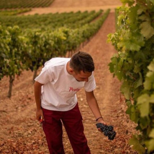 Visita a Bodegas Protos con Cata de 3 Vinos y aperitivo para dos (Peñafiel, Valladolid)