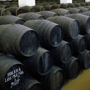 Visita Bodegas Pérez Barquero y Degustación de Cuatro Vinos para dos (Montilla, Córdoba)