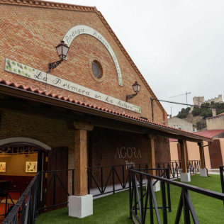 Visita a Bodegas Protos y Menú a Escoger en Restaurante Agora (Peñafiel, Valladolid)