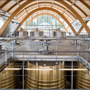 Visita a Bodegas Protos y Menú a Escoger en Restaurante Agora (Peñafiel, Valladolid)