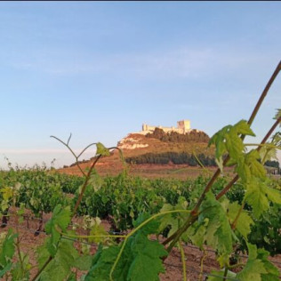 Visita a Bodegas Protos y Menú a Escoger en Restaurante Agora (Peñafiel, Valladolid)