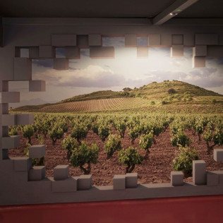 Visita a Bodegas Centenarias Riojanas con Experiencia Sensorial y Aperitivo para dos (La Rioja)