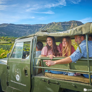 Visita a Viñedos en 4x4, Bodega, Cata de Vinos, Aperitivo y Comida para dos en Cellers Baronia del Montsant (Tarragona)