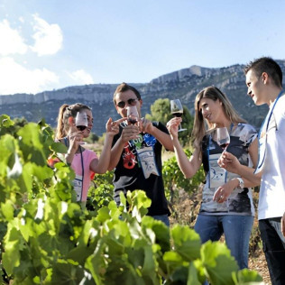 Visita a Viñedos en 4x4, Bodega, Cata de Vinos, Aperitivo y Comida para dos en Cellers Baronia del Montsant (Tarragona)