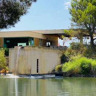 Visita a Bodega, Cata 3 Cavas y Obsequio para dos en Caves Vilarnau (Sant Sadurní d’Anoia, Barcelona)