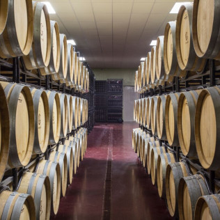Visita y Degustación de Vinos en Bodegas Gordonzello con Aperitivo para dos (León)