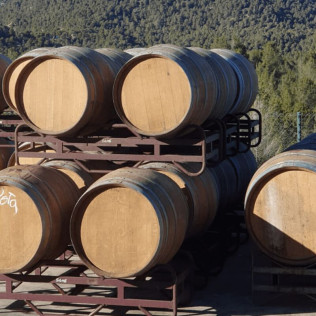 Visita a Bodega con Cata para dos en Celler Grau i Grau (Maians, Barcelona)