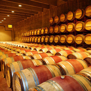 Visita Guiada a Celler Mas Llunes con Degustación de Vinos y Spa para dos (Girona)