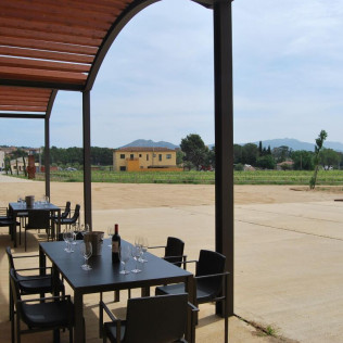 Visita Guiada a Celler Mas Llunes con Degustación de Vinos y Spa para dos (Girona)