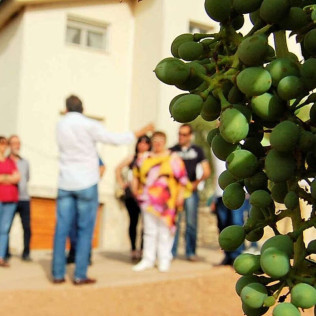 Visita a Bodega con Cata y Comida para dos en Celler Grau i Grau (Maians, Barcelona)