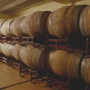 Visita a Bodega con Cata y Comida para dos en Celler Grau i Grau (Maians, Barcelona)