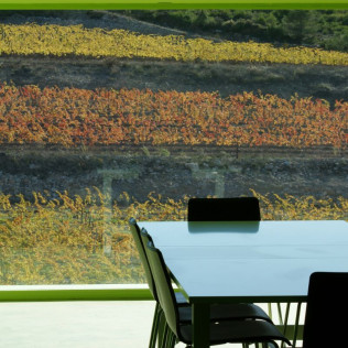 Visita a Bodega Mas Rodó y Cata de Vinos para dos en Sant Joan de Mediona (Barcelona)