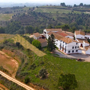Experiencia Completa de Viticultura y Cata de Vinos para dos en Bodega Miquel J. Jané (Barcelona)
