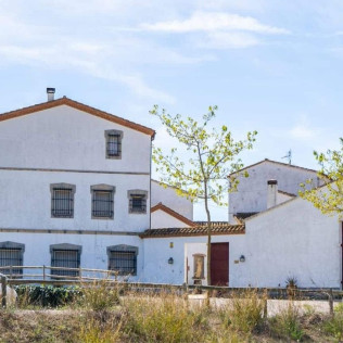 Experiencia Completa de Viticultura y Cata de Vinos para dos en Bodega Miquel J. Jané (Barcelona)