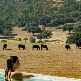Escapada de 2 Noches con Spa, Cena, Botella de Cava y Bombones en Habitat Cigüeña Negra (Valverde del Fresno, Cáceres)