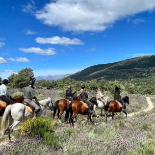 Ruta a Caballo y Tiro con Arco para dos personas (Segovia)
