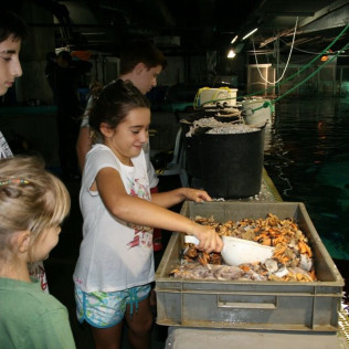 Acuarista por un Día en L'Aquàrium de Barcelona (Barcelona)