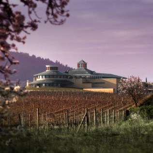 Visita Guiada a BODEGAS VIVANCO con Degustación de 2 Vinos (Briones, La Rioja)