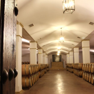 Visita a Viñedos y Bodega Valdealto con Cata de Vinos y Circuito Spa en Hotel Balneario El Raposo 4* para dos (Badajoz)