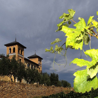Visita Guiada a Bodegas Castillo de Monjardín con Cata, Aperitivo y Menú Maridaje para dos (Villamayor de Monjardín, Navarra)