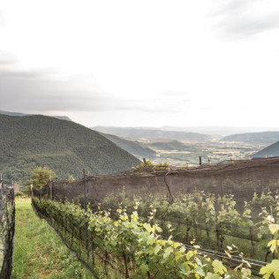 Visita a Bodegas Bal Minuta y Comida con Maridaje de 5 Vinos (Barbenuta, Huesca)