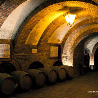 Visita a Bodegas Mocén con Cata de 3 Vinos para dos (Rueda, Valladolid)