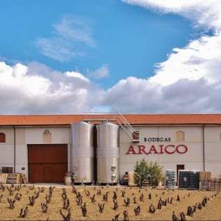 Visita a 2 bodegas con calado del Siglo XIX, cata de 3 vinos y picoteo para dos en Bodegas Araico (Villabuena de Álava, Álava)