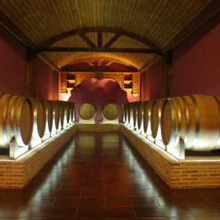 Visita a Bodega y Museo del Aceite con Cata de Vinos, Aceite y Embutidos Ibéricos para dos (Villena, Alicante)