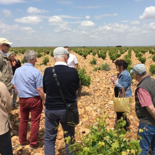 Visita "Conoce Legado de Orniz" con Degustación de Vinos para dos (San Román de Hornija, Valladolid)