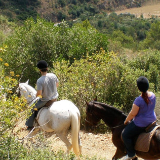 Paseo a Caballo por el Parque Natural de Collserola para dos (Sant Cugat, Barcelona)