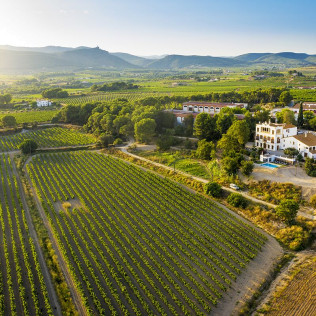 Visita Premium a Caves Bolet con Cata de Vino y Cava (Castellví de la Marca, Barcelona)