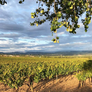 Escapada con Desayuno en Hotel Fonda Neus y Visita a Celler Parató con Cata y Botella para dos (Barcelona)
