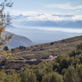 Escapada de 2 Noches con Desayuno en Hotel Rural La Posada de la Colomera (Granada)