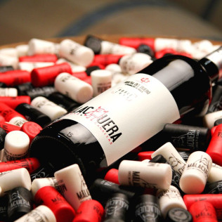 Visita a los Viñedos y a las Bodegas Malacuera con Degustación de Vinos para dos (Castrillo de Duero, Valladolid)