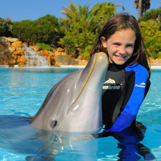 Dolphin Emotions Premium: Nadar con Delfines, Entrada a Zoomarine y Acceso para Acompañante (Portugal)