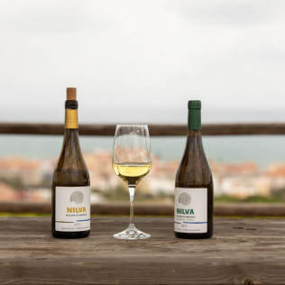 Visita a Bodega Nilva con Cata de Vinos y Tapas para cuatro personas (Manilva, Málaga)