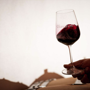Visita a Bodegas Olimarum con Cata de Vino y Aperitivo para dos (Canalejas de Peñafiel, Valladolid)