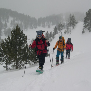 Ruta con Raquetas de Nieve por el Bosc del Gerdar (Lleida)