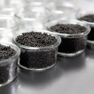 Visita a Caviar Riofrío con Degustación de Caviar (Riofrío, Granada)