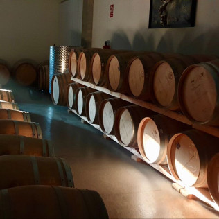 Visita a Bodega con Degustación y Aperitivo y Spa en Hotel Spa Tudanca Aranda 4* para dos (Aranda de Duero, Burgos)