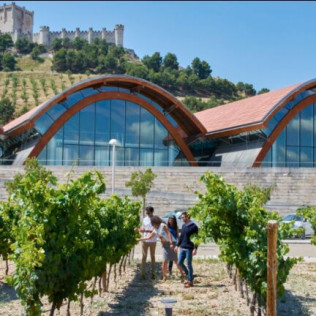 Visita a Bodegas Protos y Menú a Escoger en Restaurante Agora (Peñafiel, Valladolid)